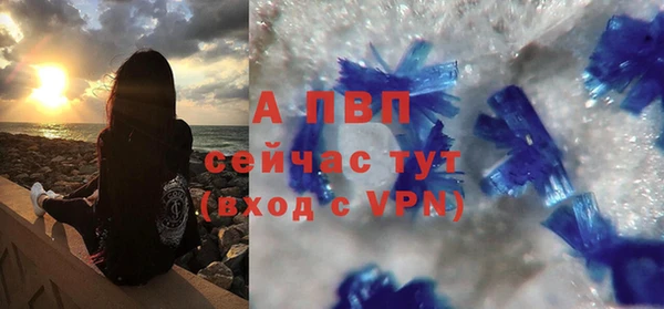 прущие грибы Абдулино