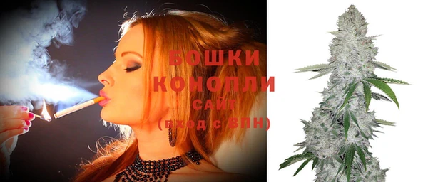 прущие грибы Абдулино
