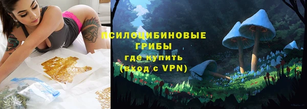 прущие грибы Абдулино